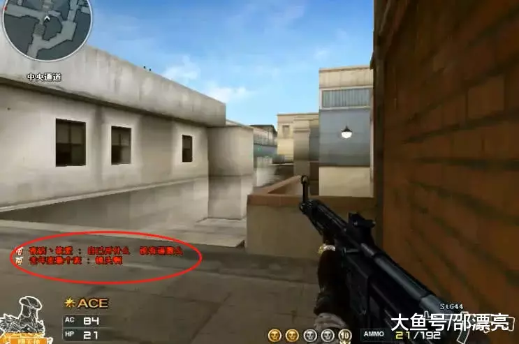 Snax可加入NaVi接替Boombl4？